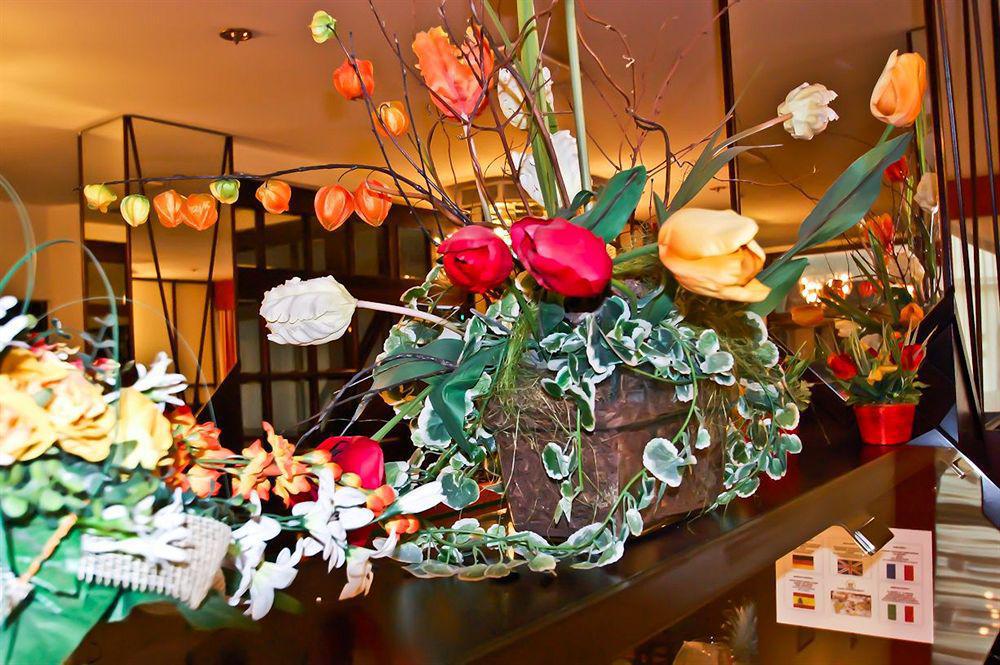 Hotel Mercure Raphael Viena